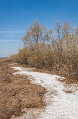 Bahar manzarası. Bahar tarlasındaki son kar. tepelik terra
