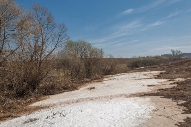 Bahar manzarası. Bahar tarlasındaki son kar. tepelik terra