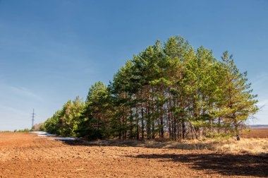 Bahar manzarası. Bahar tarlasındaki son kar. tepelik terra