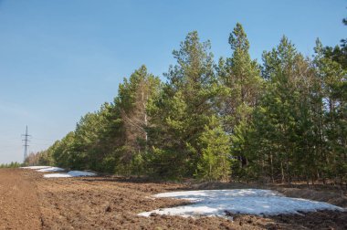 Bahar manzarası. Bahar tarlasındaki son kar. tepelik terra