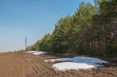Bahar manzarası. Bahar tarlasındaki son kar. tepelik terra