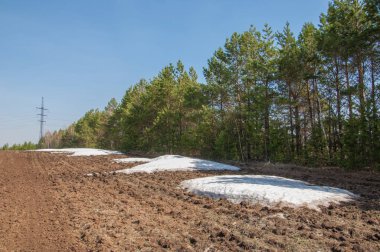 Bahar manzarası. Bahar tarlasındaki son kar. tepelik terra