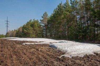 Bahar manzarası. Bahar tarlasındaki son kar. tepelik terra