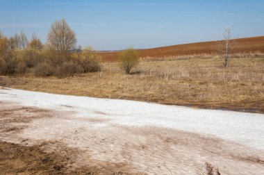 Bahar manzarası. Bahar tarlasındaki son kar. tepelik terra