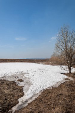 Bahar manzarası. Bahar tarlasındaki son kar. tepelik terra