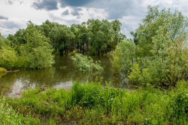 Su baskını. Doğal afet. Toprağın suyla dolup taşması.