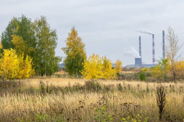 Doğal manzaralar. Sonbahar manzarası. Banliyöde sonbaharın sonlarında