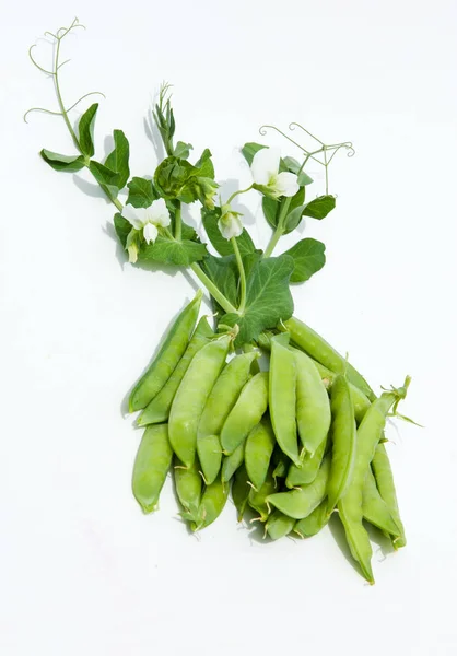 Guisantes verdes en la vaina — Foto de Stock