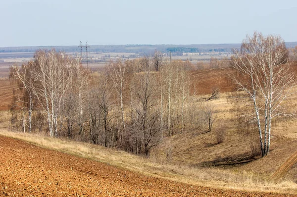 Vårlandskap. Nyplöjt fält. kuperad terräng. Träd med — Stockfoto