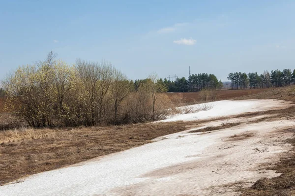 Wiosenny krajobraz. Ostatni śnieg na polu wiosennym. Terra pagórkowata — Zdjęcie stockowe