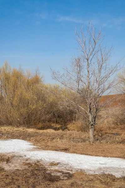 春天的风景。 春田上的最后一场雪。 丘陵地带 — 图库照片