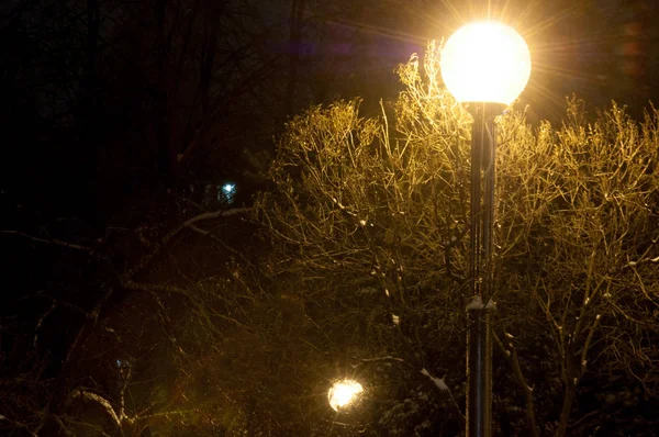 Urban landskap Natt, snö går på gatan, en gatubelysning il — Stockfoto