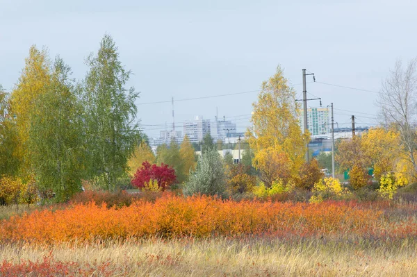 natural landscapes. Autumn landscape. Suburbs of the city, brigh