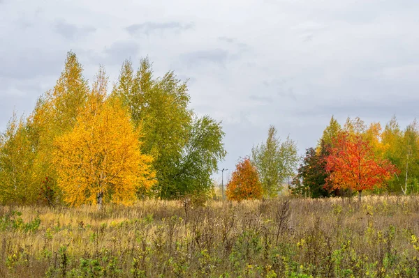 Paisagens naturais. Paisagem de outono. Outono tardio nos subúrbios — Fotografia de Stock