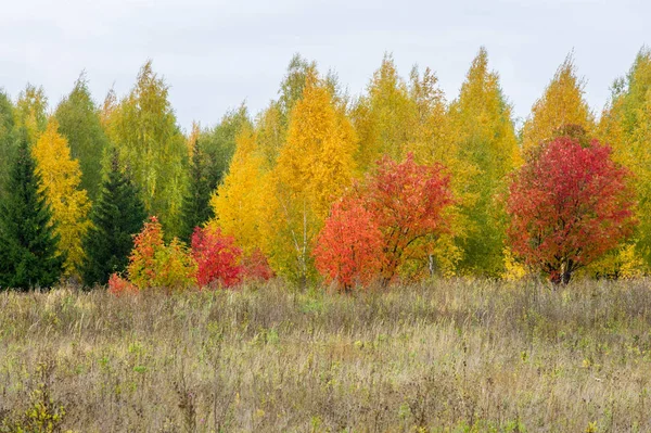 Paisagens naturais. Paisagem de outono. Outono tardio nos subúrbios — Fotografia de Stock