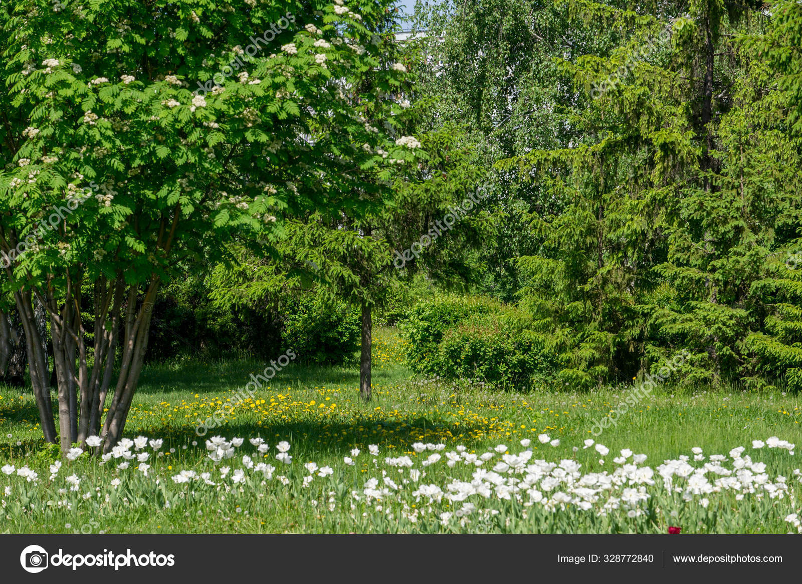 Paisaje urbano de primavera. Parques urbanos. campo de césped verde en
