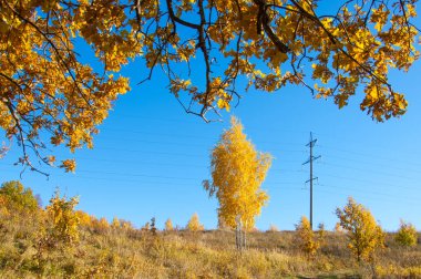 Sonbahar sahneleri. Energo. Yeşil enerji kavramı, enerji santrali, clo