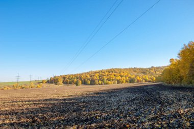 Sonbahar manzarası. Bir sonbaharın arka planında tarla sürme