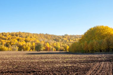Sonbahar manzarası. Bir sonbaharın arka planında tarla sürme