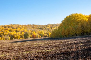 Sonbahar manzarası. Bir sonbaharın arka planında tarla sürme