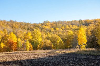 Sonbahar manzarası. Bir sonbaharın arka planında tarla sürme
