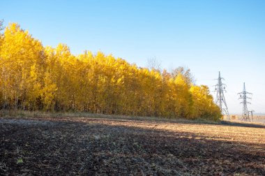Sonbahar manzarası. Bir sonbaharın arka planında tarla sürme