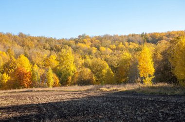 Sonbahar manzarası. Bir sonbaharın arka planında tarla sürme