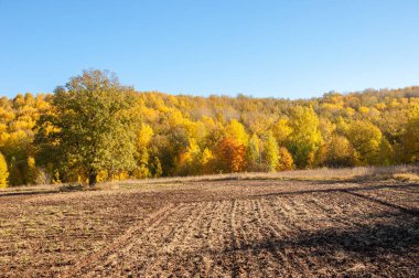 Sonbahar manzarası. Bir sonbaharın arka planında tarla sürme