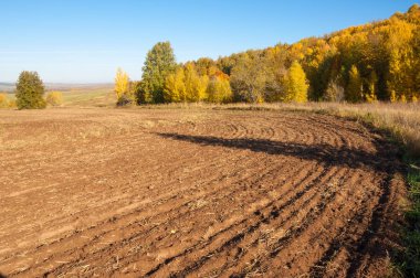 Sonbahar manzarası. Bir sonbaharın arka planında tarla sürme
