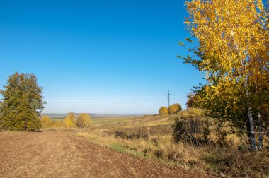 Sonbahar manzarası. Bir sonbaharın arka planında tarla sürme