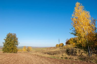 Sonbahar manzarası. Bir sonbaharın arka planında tarla sürme