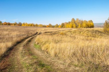 Sonbahar sahneleri. Sonbaharda çamurlu bir yol. Önü karışık.