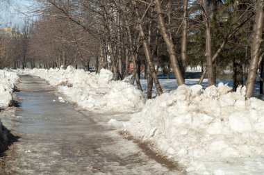 Doku, arka plan, desen. Bahar kar erir. Yönetimindeyken