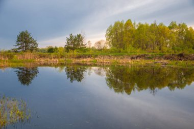 Bahar yemekleri. Bataklıklı güzel bir bahar manzarası, Sunr.