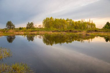 Bahar yemekleri. Bataklıklı güzel bir bahar manzarası, Sunr.
