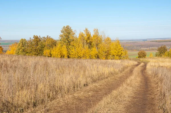 Höstscener. En pittoresk grusväg på höstens blandskog — Stockfoto