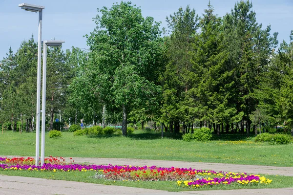 Paesaggio urbano di primavera. Parchi cittadini. erba verde campo in grande cit — Foto Stock