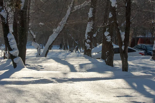 テクスチャ、背景、パターン。雪の中の足跡。霜だ — ストック写真