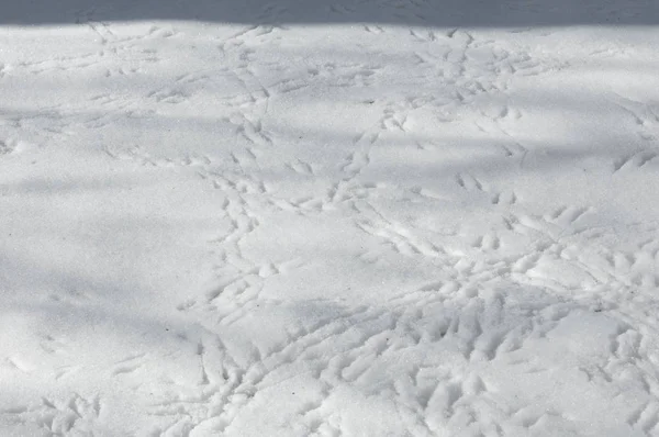 Antecedentes, fotografia de Inverno. Neve branca, fofa Em turbilhão arejado — Fotografia de Stock
