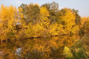 Sonbahar, Güz, yaprak sonbahar, sonbahar yaprak