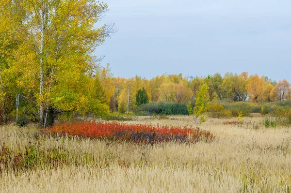 Natuurlijke landschappen. Herfstlandschap. Late herfst in de buitenwijken — Stockfoto