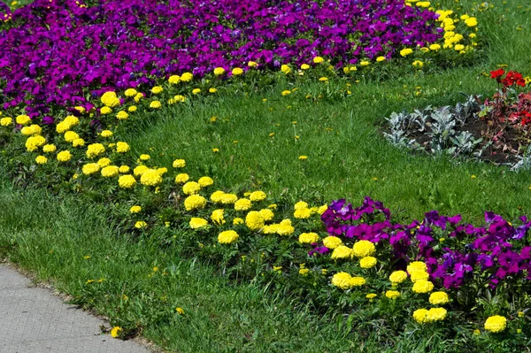 Spring urban landscape. City parks. green grass field in big cit — 스톡 사진