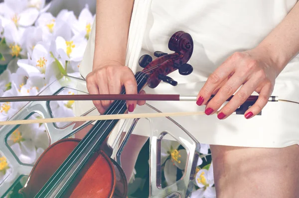 Chica con violín. Música. Hermosa chica con violín —  Fotos de Stock