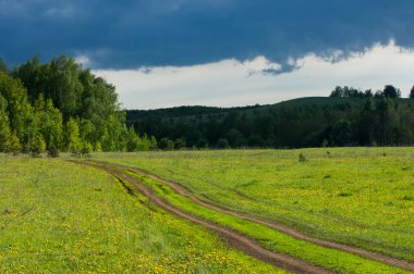 Bahar ağaç günbatımı