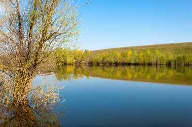 Spring Gölü. Havuz pınarı