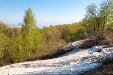 Son kar, yeşil ağaçlar