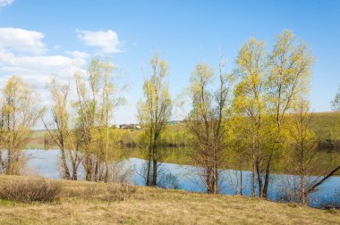 Spring Gölü. Havuz pınarı