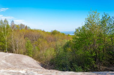Son kar, yeşil ağaçlar
