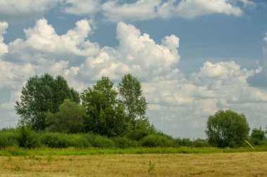 Yaz fotoğrafçılığı manzarası, sel otlakları biçildi. bir parça gr