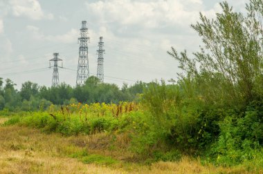 Yaz fotoğrafçılığı manzarası, sel otlakları biçildi. bir parça gr